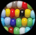 mixed-seed-beads