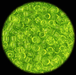 Lime Green Seed Beads