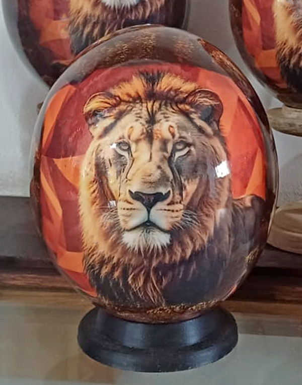 ostrich egg lion south africa
