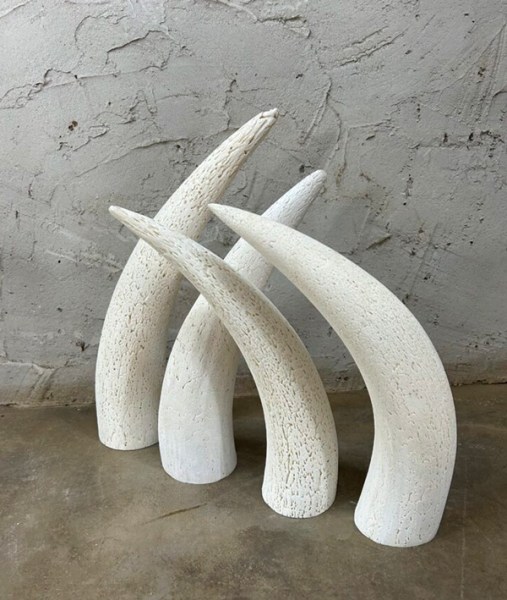Ankole Cow Horns | WHOLESALE