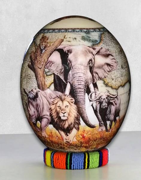ostrich egg big five 5 21
