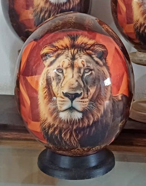 Ostrich Egg Shells South Africa Lion #2