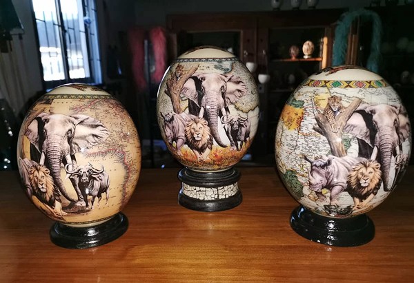 ostrich eggs big five south africa 1