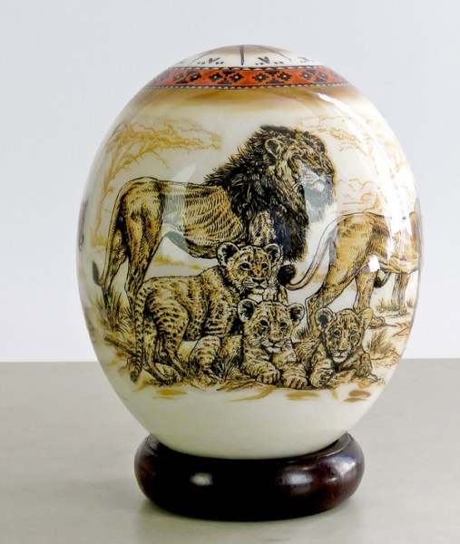 ostrich eggs south africa lion4