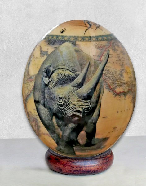 Ostrich Egg Shells South Africa Rhino #1