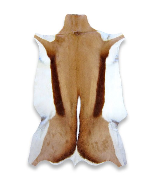 Springbok Hides | WHOLESALE